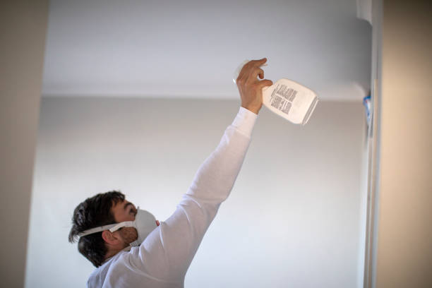 Best Fast Mold Removal  in Mcalester, OK
