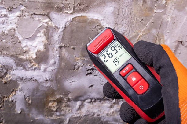 Best Mold Testing and Removal  in Mcalester, OK