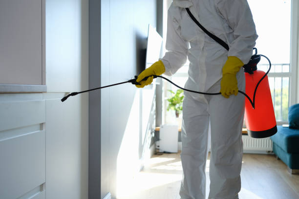 Best Affordable Mold Removal  in Mcalester, OK