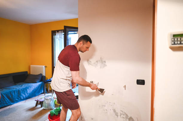 Best Mold Removal Near Me  in Mcalester, OK