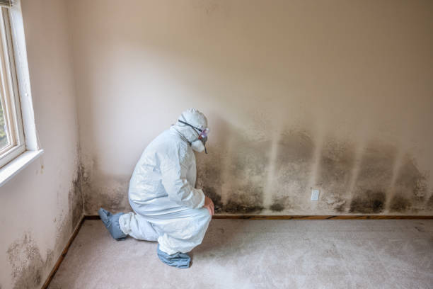 Best Mold Testing  in Mcalester, OK