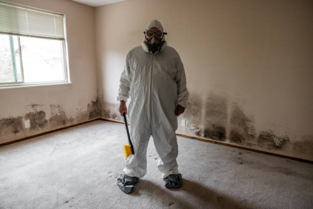 Best Certified Mold Removal  in Mcalester, OK