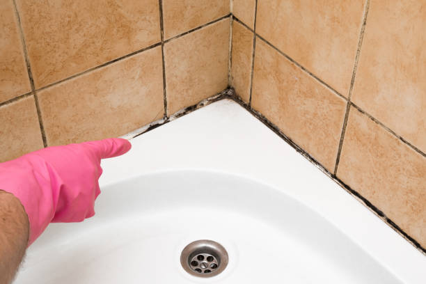 Best Mold Removal Near Me  in Mcalester, OK